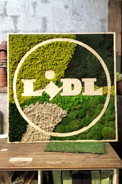 vignette-lidl-1